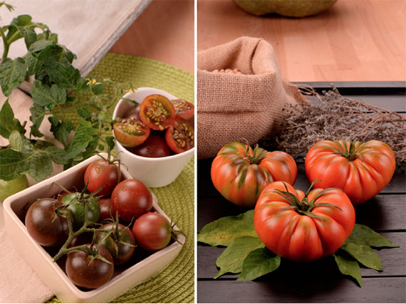 Cultiva en tu huerto los ms deliciosos tomates gourmet